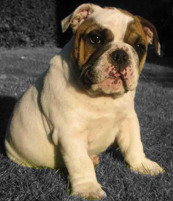 Emma-Start Gr��e